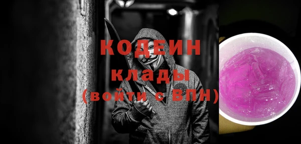 ПСИЛОЦИБИНОВЫЕ ГРИБЫ Горняк