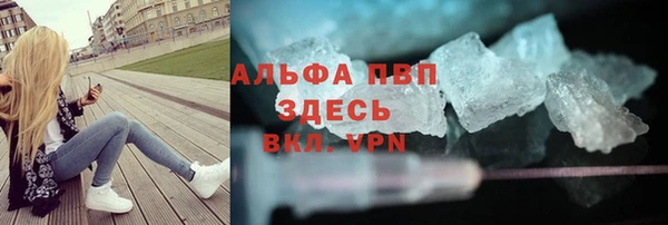 ПСИЛОЦИБИНОВЫЕ ГРИБЫ Горняк