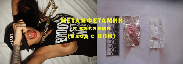 ПСИЛОЦИБИНОВЫЕ ГРИБЫ Горняк