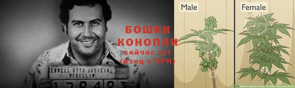 ПСИЛОЦИБИНОВЫЕ ГРИБЫ Горняк