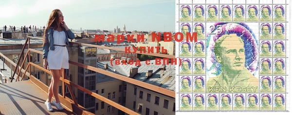 ПСИЛОЦИБИНОВЫЕ ГРИБЫ Горняк
