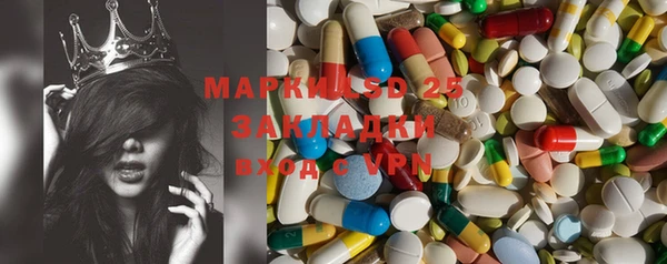 PSILOCYBIN Сатка