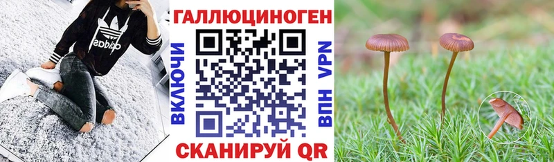 Галлюциногенные грибы MAGIC MUSHROOMS Пионерский